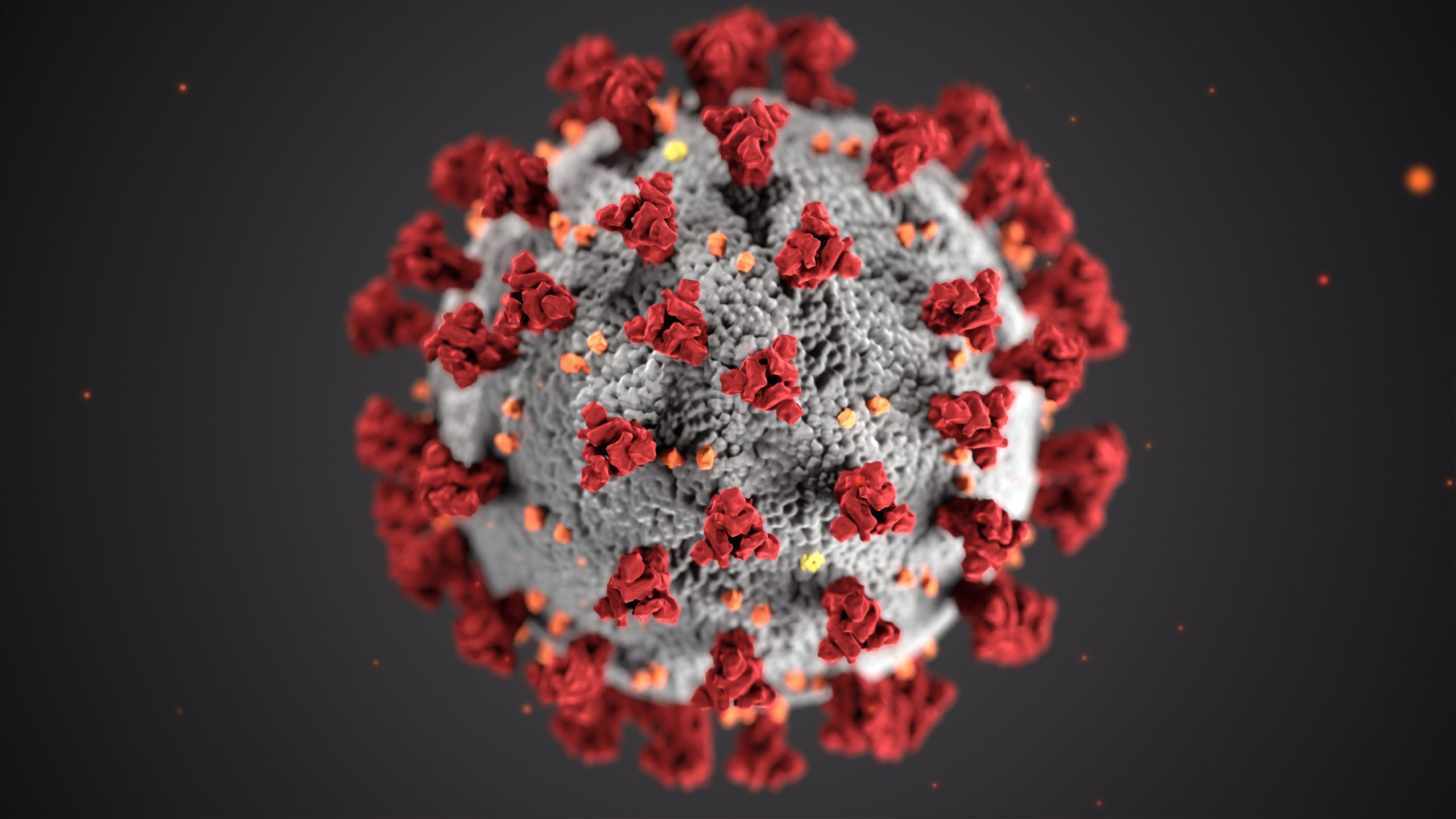 pfizer contro coronavirus